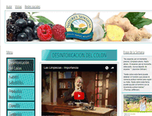 Tablet Screenshot of nspchia.webgarden.es